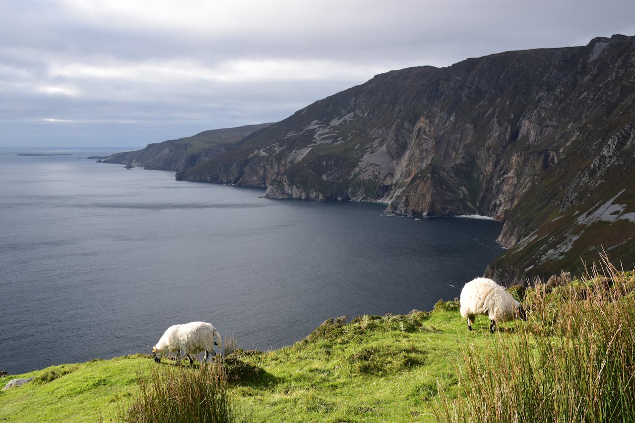 hidden gems of Ireland Slieve league cliffs private tour