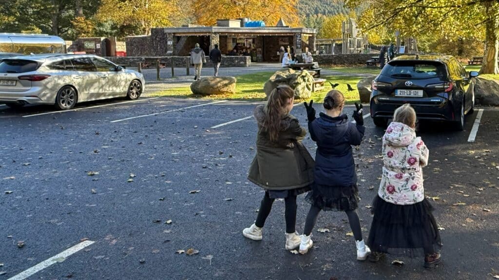 Halloween Wednesday filming location Powercourt Waterfall