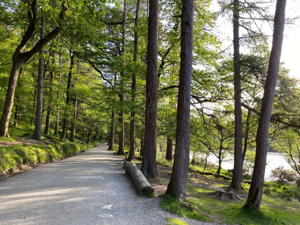 Blessington Greenway Hike