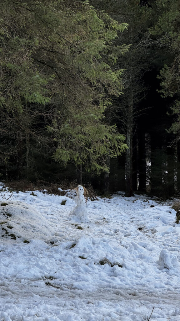 Wicklow Mountains in the snow