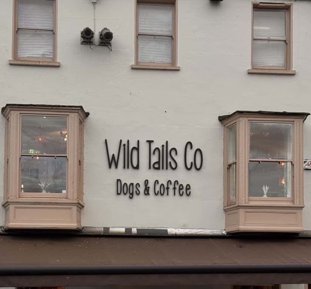 Coffee shop welcoming dogs and owners