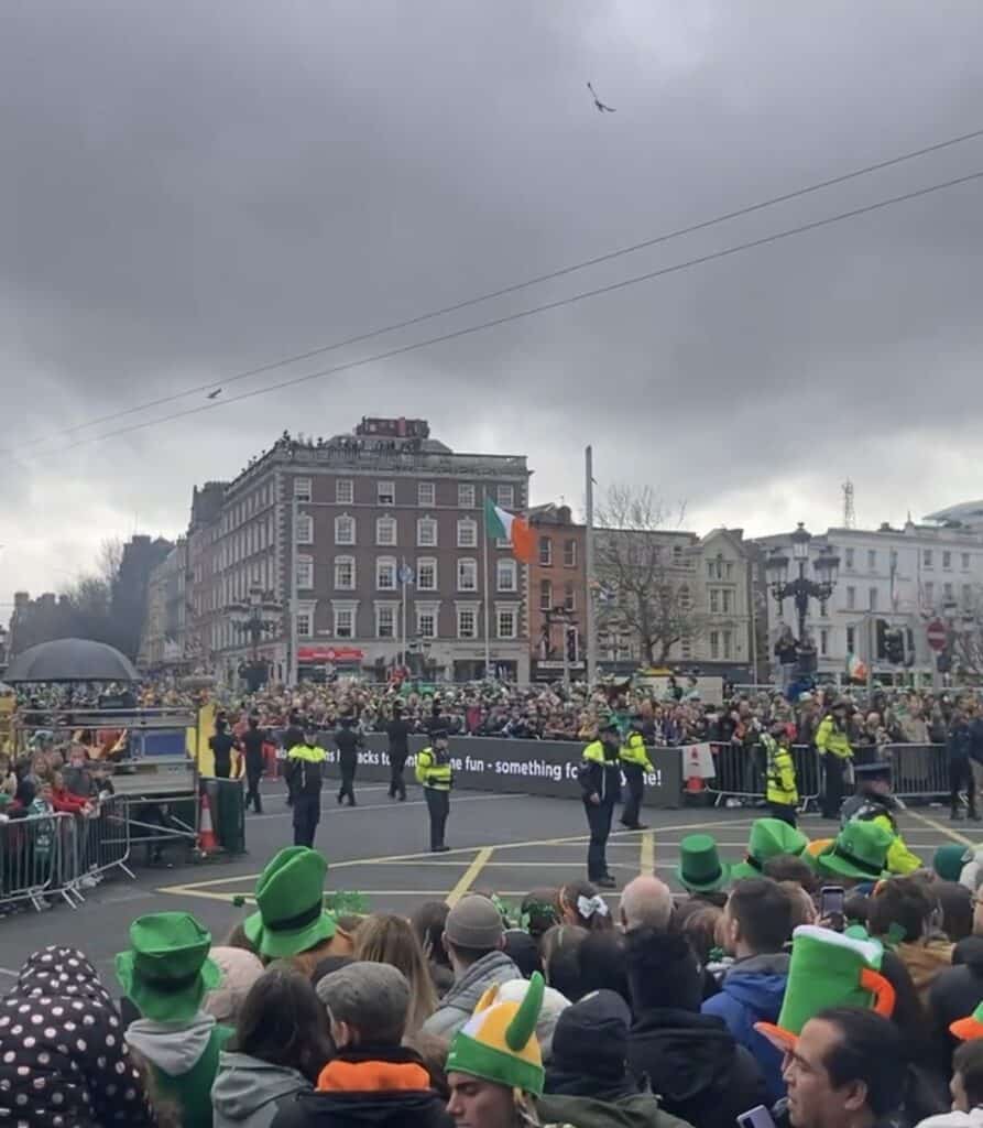 Crowd celebrating St. Patrick's Day parade.