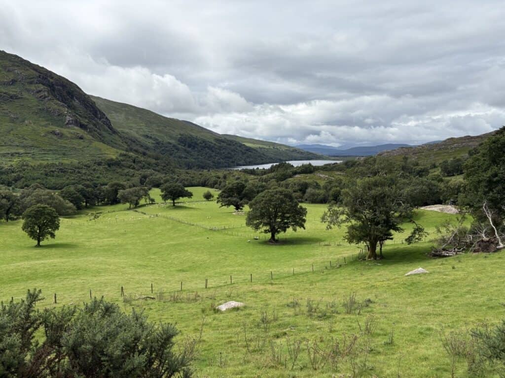 Killarney National Park and Ring of Kerry scenery in County Kerry