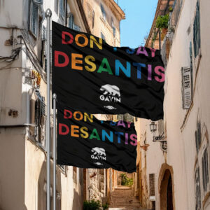Don’t Say DeSantis Flag