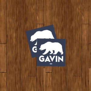 Gavin Bear Sticker