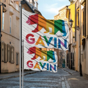 Pride Gavin Flag