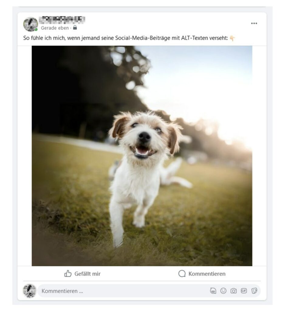Ein Facebook-Beitrag, auf dem ein lachender Hund zu sehen ist. Darüber steht: So fühle ich mich, wenn jemand seine Social-Media-Beiträge mit Alt-Text verseht.