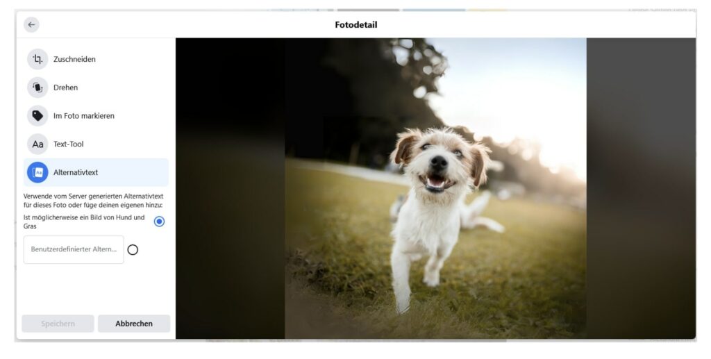 Ein Screenshot von Facebook und den automatisch generierten Alt-Texten für das Bild mit dem Hund aus dem Post von oben. Dazu steht als Alt-Text-Vorschlag: Möglicherweise ein Bild von Hund und Gras.