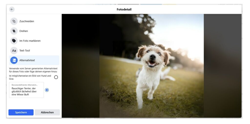Hier wurde dem Bild von dem Hund ein eigener Alt-Text hinzugefügt. Der Alt-Text lautet: Flauschiger Terrier, der glücklich lächelnd über eine Wiese läuft.