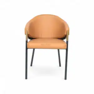 Elegant modern lounge chair with leather upholstery and metal accents, perfect for stylish living spaces.