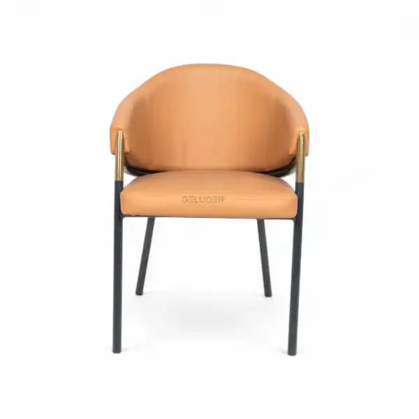 Elegant modern lounge chair with leather upholstery and metal accents, perfect for stylish living spaces.