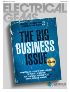 The Big Business Issue