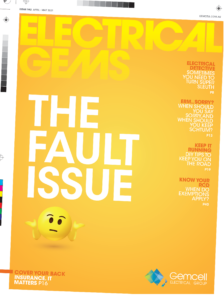 The Fault Issue