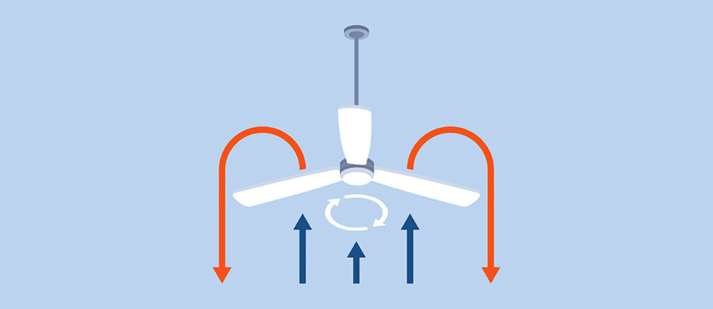 Ceiling fans – summer and winter switch
