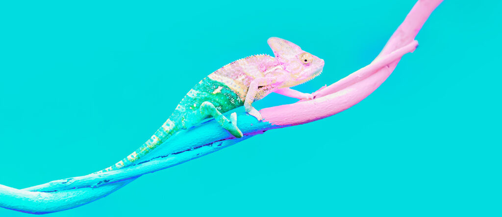 The Psychology of Change in Work and Life