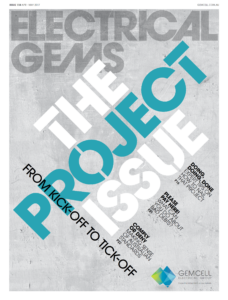 The Project Issue