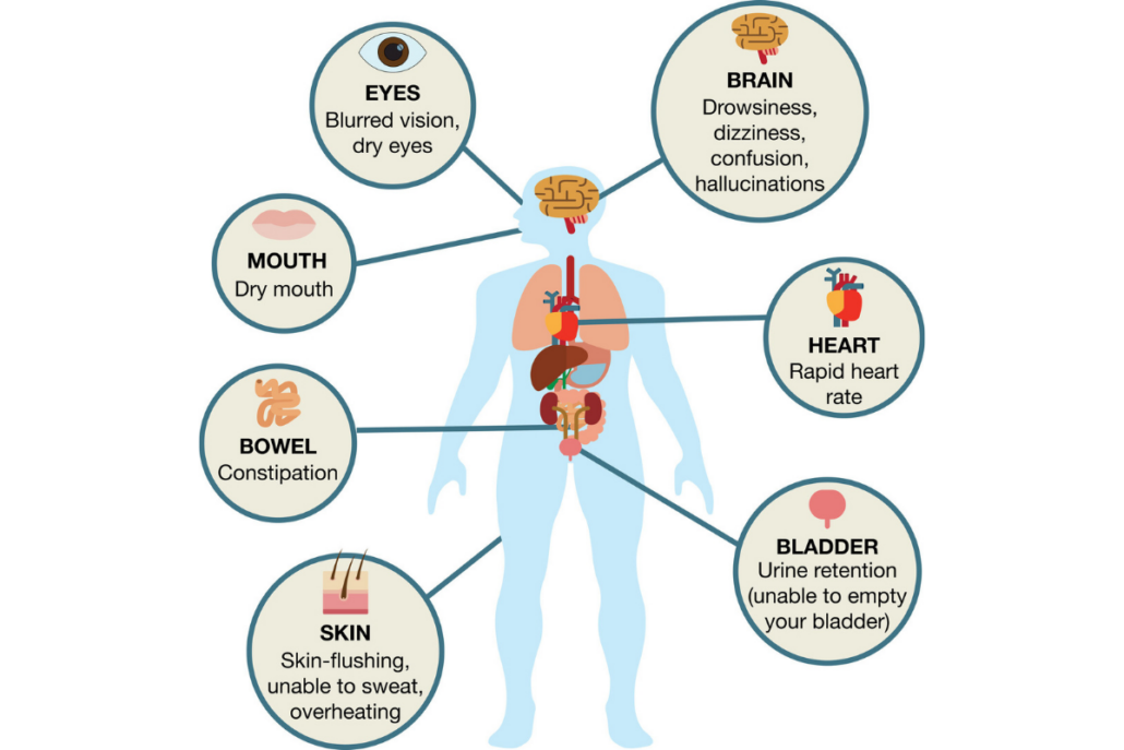anticholinergic side effects in older adult population