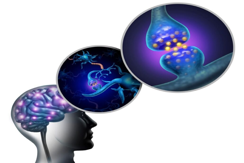 Psychotropic Drug Targeting