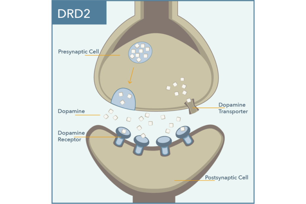 DRD2