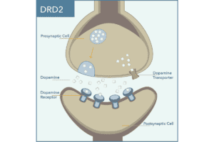 DRD2