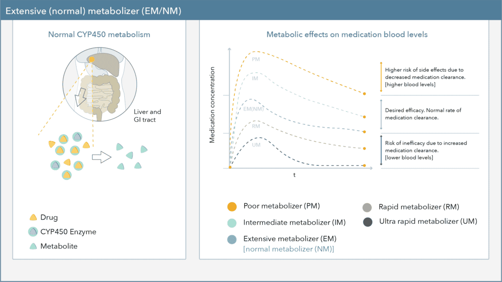 extensive metabolizer