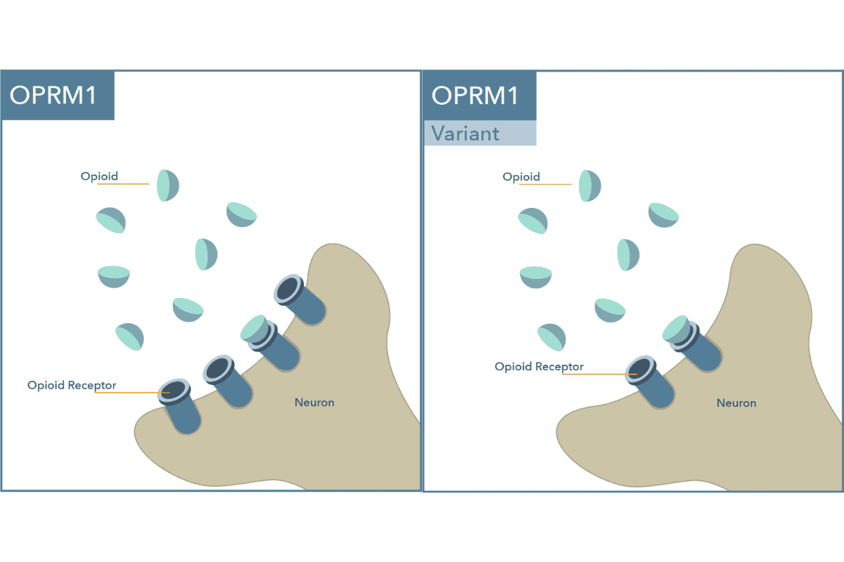 OPRM1 and OPRM1 Variant