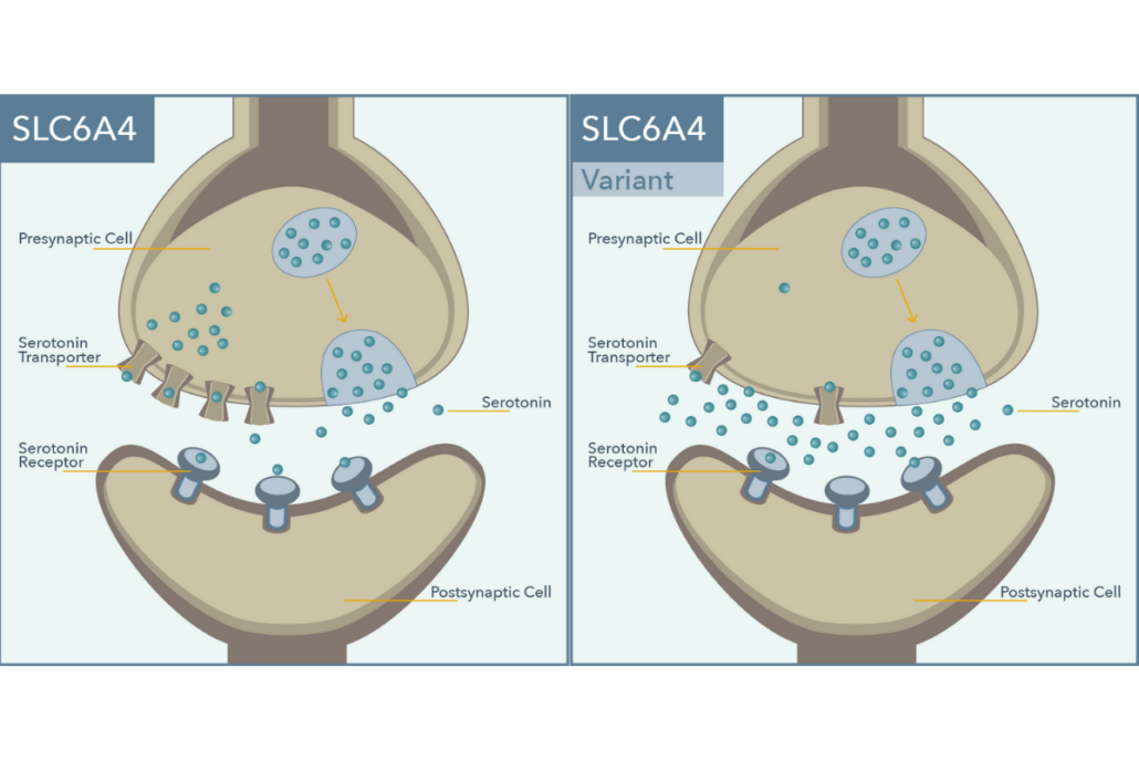 SLC6A4