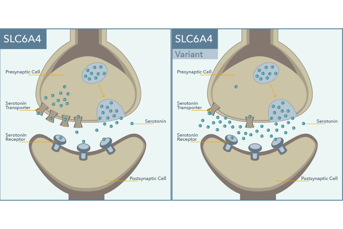 SLC6A4