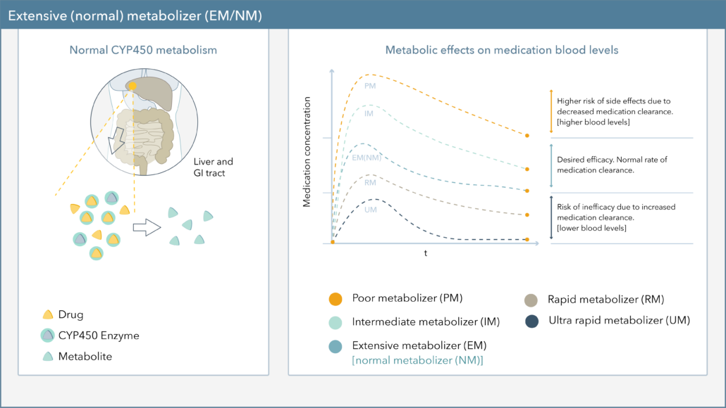 extensive normal metabolizer graph