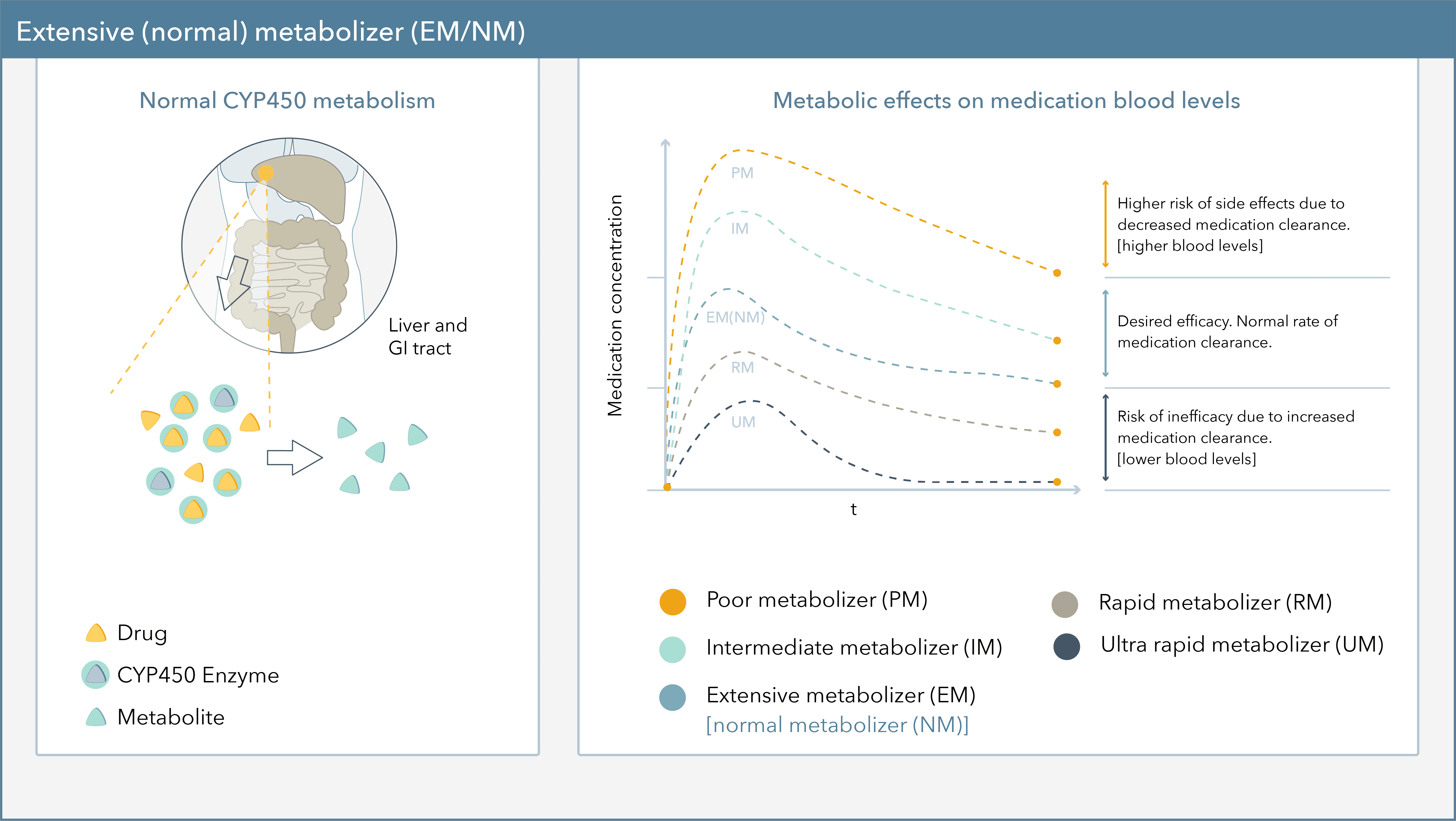extensive normal metabolizer graph