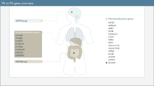Pharmacodynamic genes listed next to anatomical image
