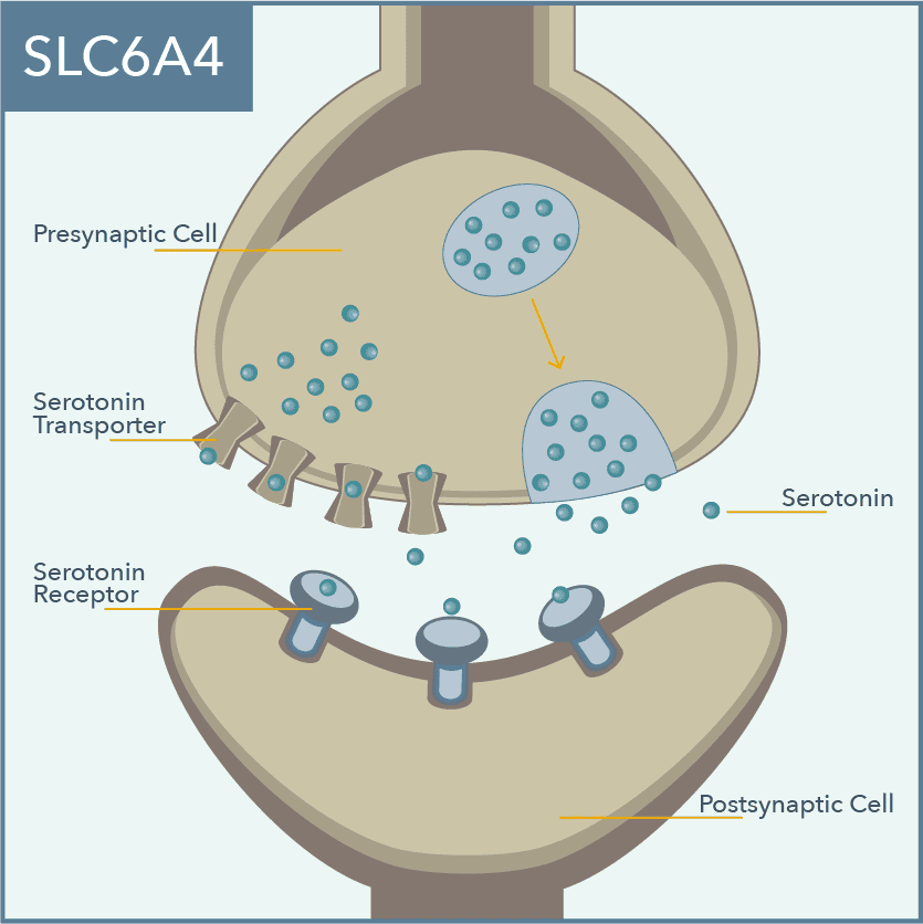 SLC6A4