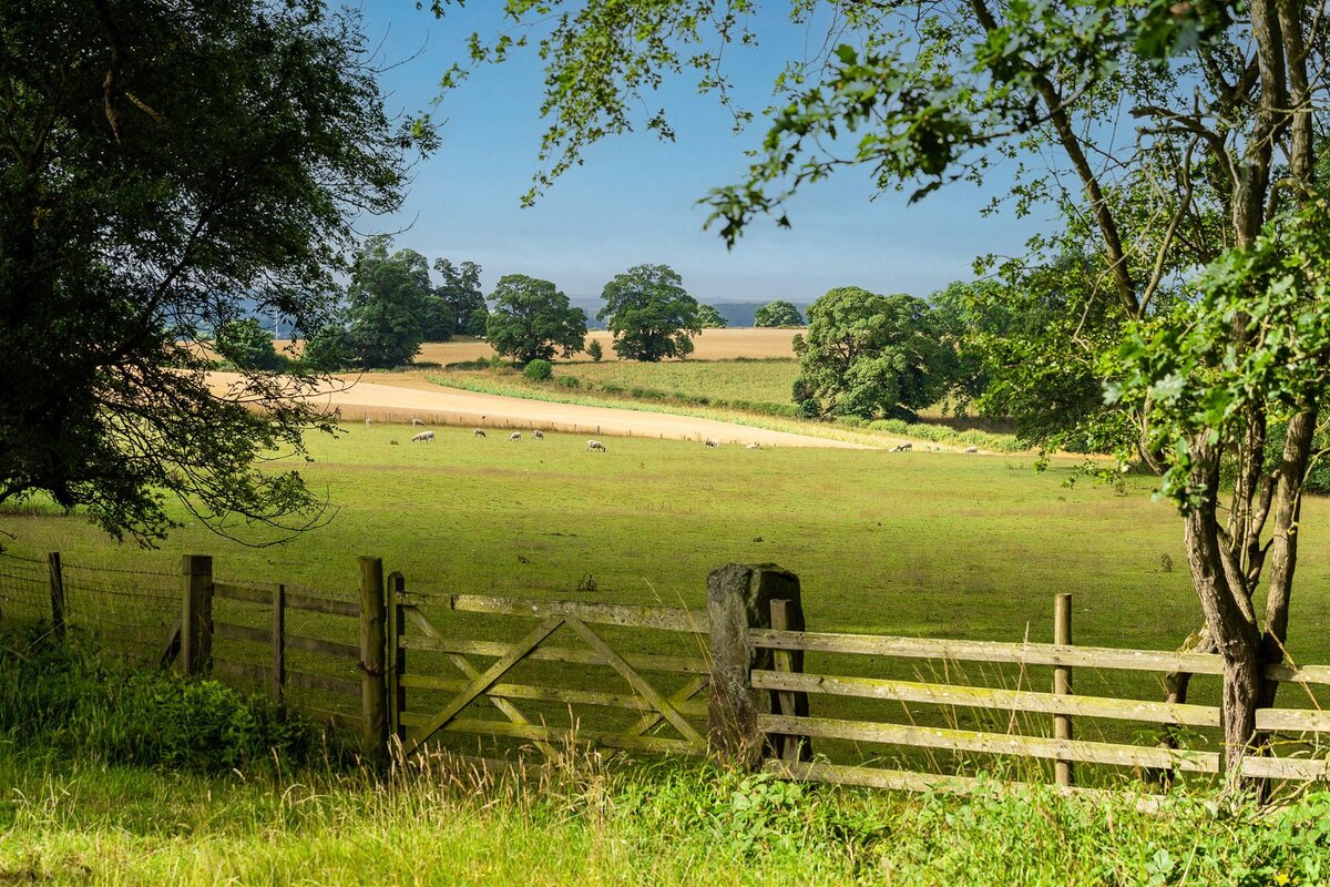 Northumberland countryside at Charlotte Gaisford's home taken by Georgie Greene Photography for her personal branding shoot
