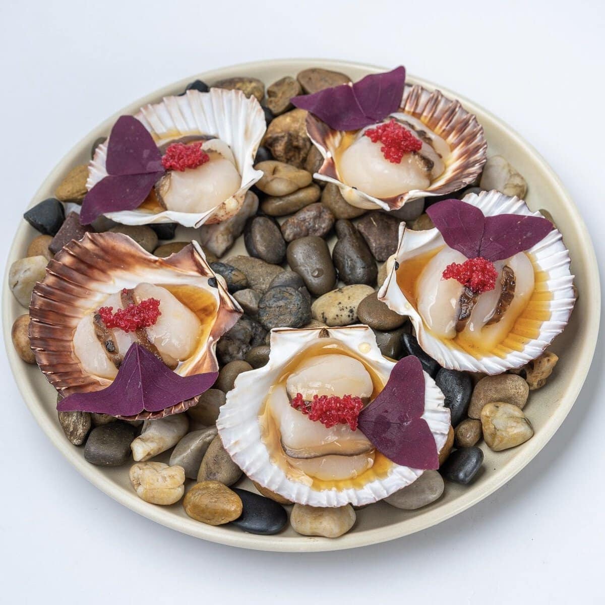 scallops taken by Sydney food photographer Georgie Greene