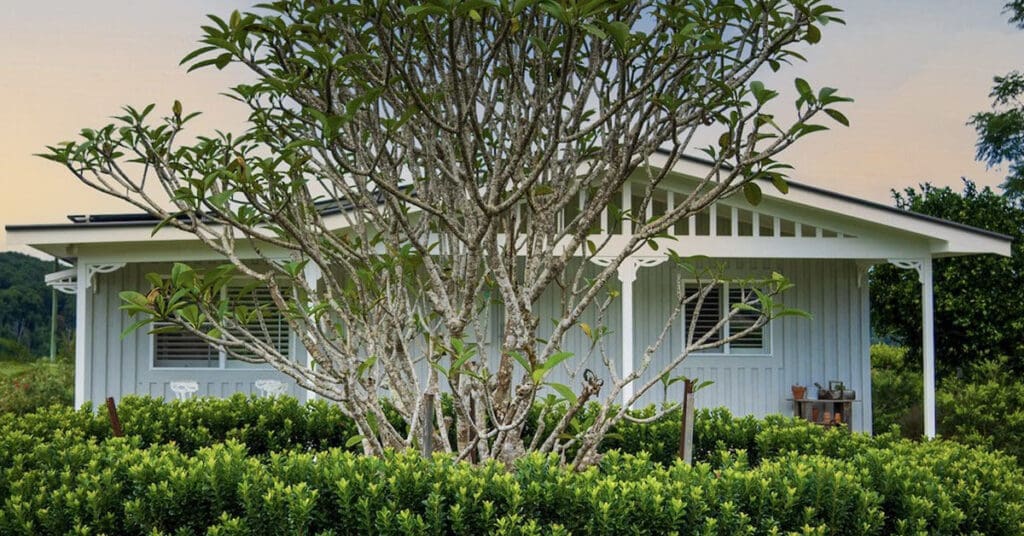 heartwood farm with a tree in front