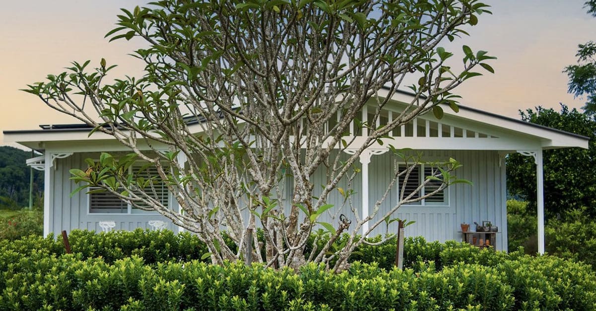 Inside A Marketing Photo Shoot At Heartwood Farm