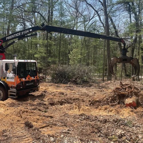 land clearing service img