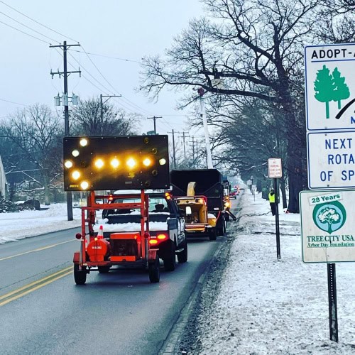 municipal tree maintenance img