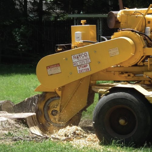 stump grinding service img
