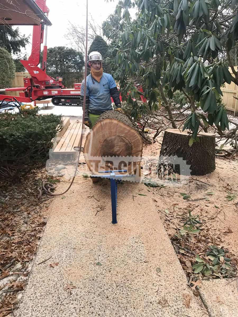 worker standing next to large trunk