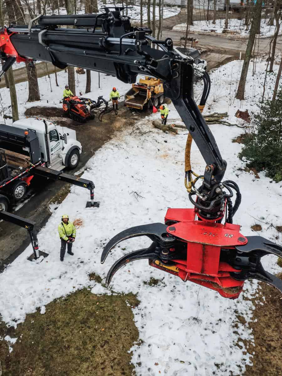 close up of tree crane claw