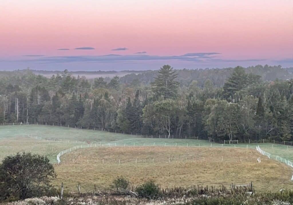 Vibrant, multicolored SeaColors Yarnery yarns displayed at Seacolors Yarnery, showcasing a wide variety of hand-dyed, high-quality yarns perfect for knitting and crochet projects.