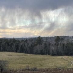 Vibrant Seacolors Yarnery yarns displayed at Wool's collection, showcasing rich color blends inspired by nature, perfect for knitting and crochet projects.