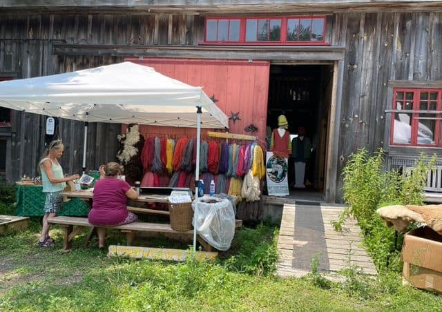 Vibrant colorful yarns displayed at Seacolors Yarnery, a cozy yarn shop with outdoor seating, perfect for knitting enthusiasts seeking high-quality, hand-dyed wool yarns in a rustic setting.