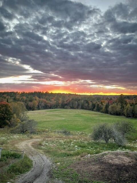 1. Vibrant sunset over lush green fields and forest, showcasing natural beauty and tranquility.