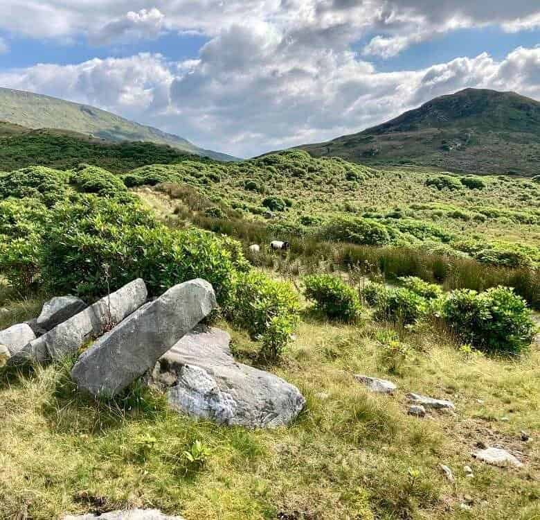 Landscape view of green hills, rocky outcrops, and grazing sheep in County Mayo, Ireland. – Ghar.ie property listing