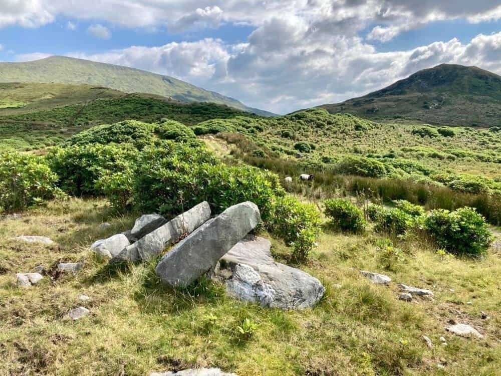 Landscape view of green hills, rocky outcrops, and grazing sheep in County Mayo, Ireland. – Ghar.ie property listing