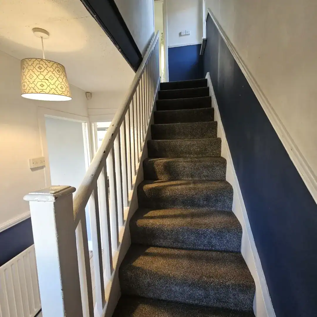 Carpeted stairs with white banister and blue and white walls in a Drimnagh apartment. – Ghar.ie property listing