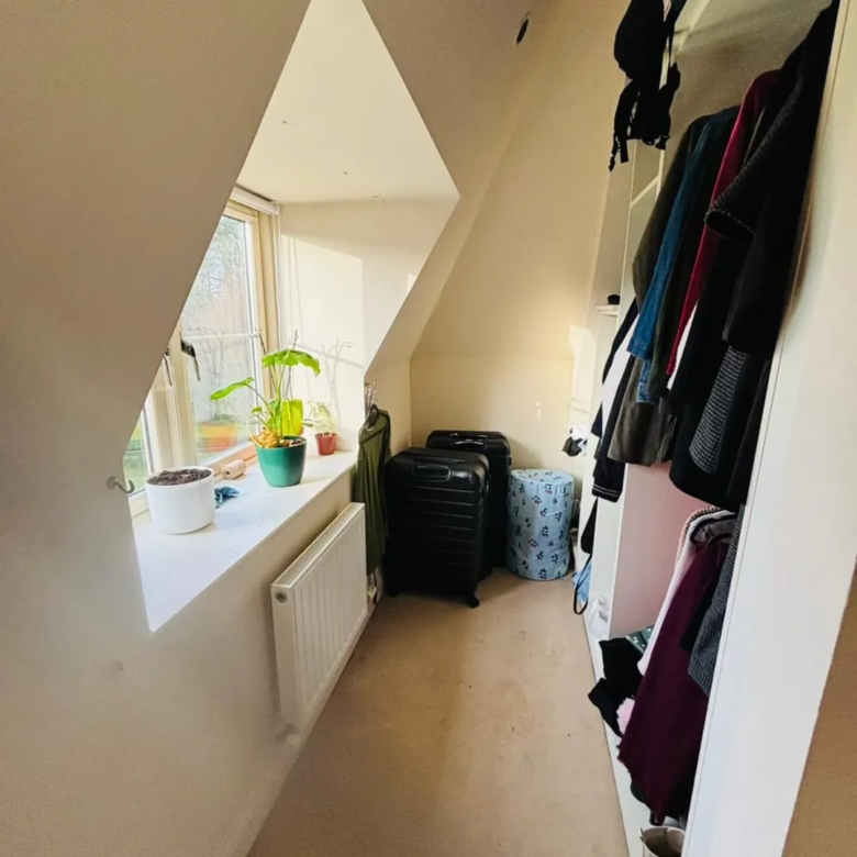 Attic closet with clothes, luggage, and plants in a bright, narrow space.