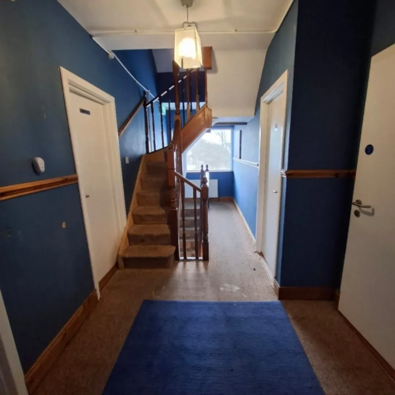 Blue hallway with stairs, white doors, and a blue rug. Interior home design.